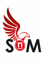 SNM Security Consultants logo